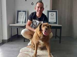 Guinness World Records Revokes Bobi's Oldest Dog Title-1